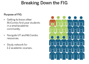 Image of Breaking Down The FIG Resource