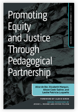 Promoting Equity book cover