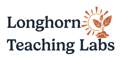 Longhorn Teaching Labs logo/image