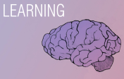 An drawing of a brain on a pink backgroud along with the word "Learning,"