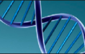 DNA Molecule for Genetics Course