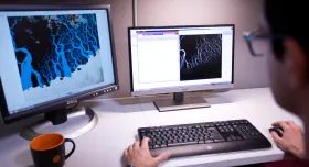 Computer screens and a keyboard with hands on it