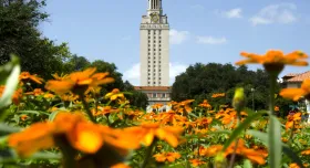 UT Tower behind orange flowers 