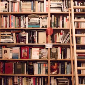 Books in bookshelves