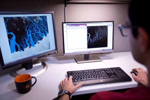 Computer screens and a keyboard with hands on it