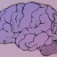 brain icon for metacognition or hinking about our thinking.