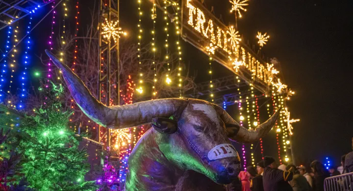 Blow up bevo balloon in front of Christmas light show 