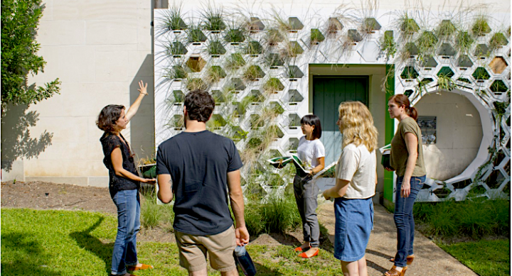 Living Wall Project