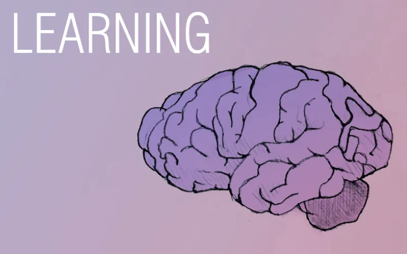 An drawing of a brain on a pink backgroud along with the word "Learning,"