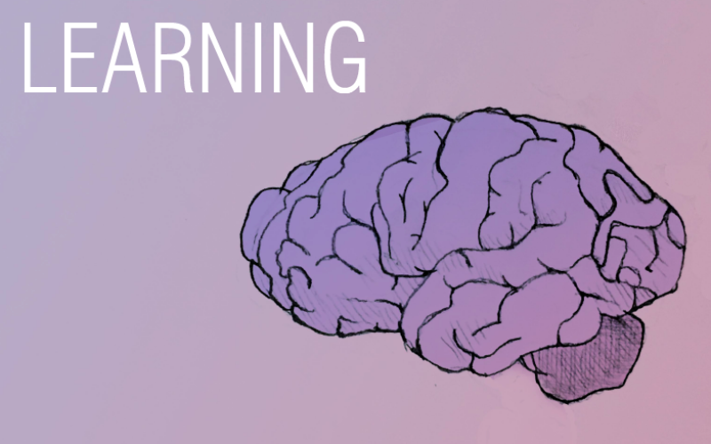 An drawing of a brain on a pink backgroud along with the word "Learning,"