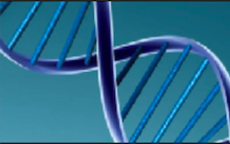 DNA Molecule for Genetics Course